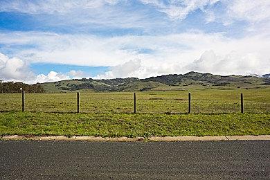 类宝可梦像素游戏《Coromon》本月登录Switch